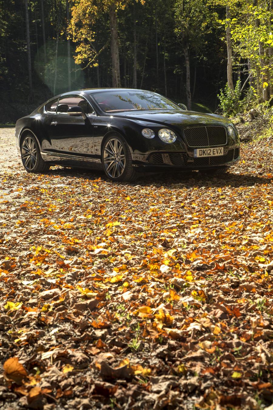  Bentley Continental GT Speed 2012 года  (фото 45 из 103)